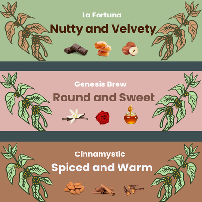 Flavour Haven